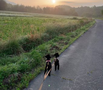 奥出雲町に移住した、私の日々の暮らし。