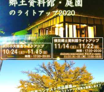 大銀杏と郷土資料館・庭園のライトアップ2020